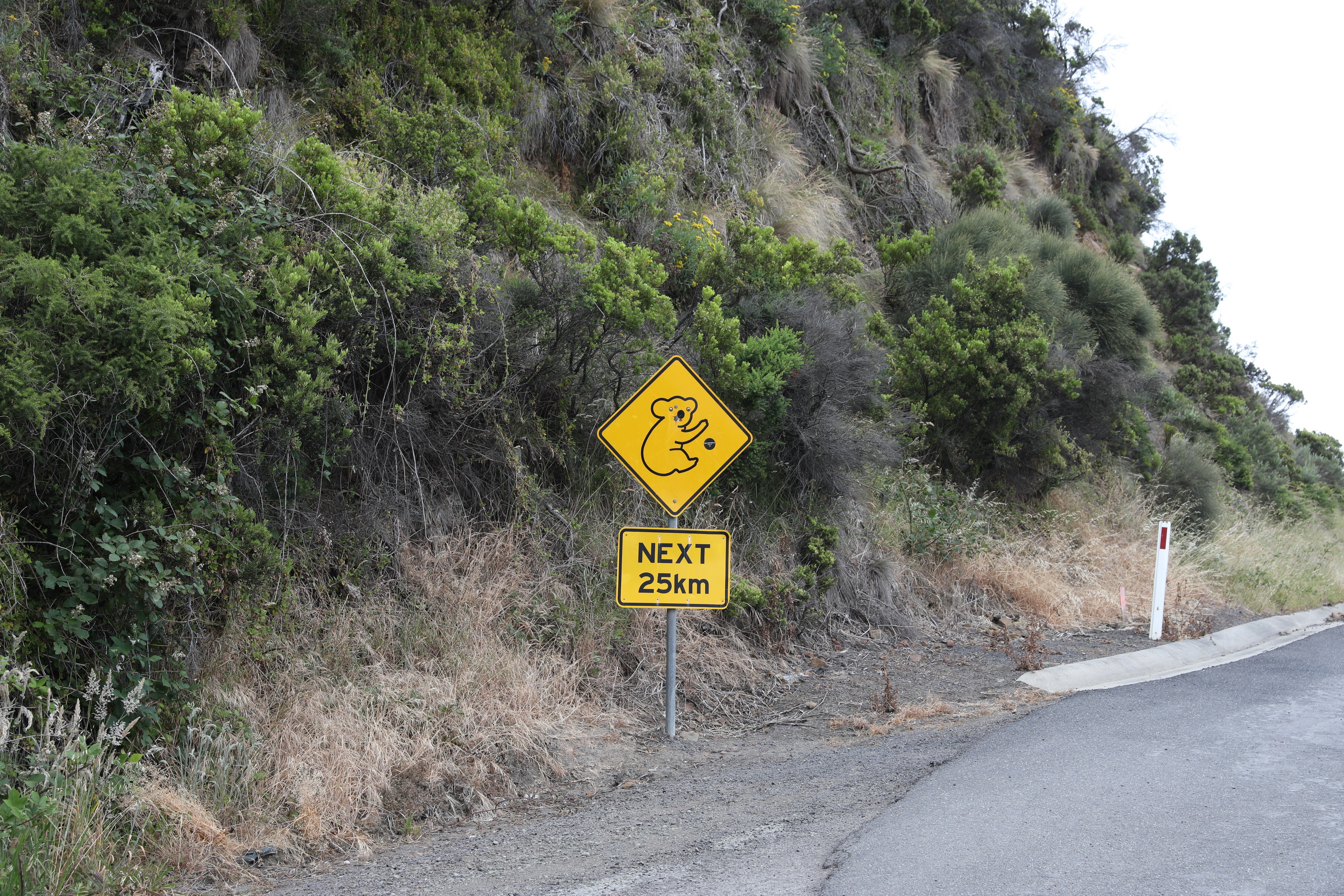 2019 12 21 11 36 59 Canon EOS 5D Mark IV 0005